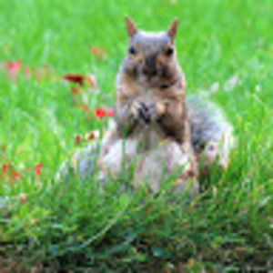 Meet your Posher, Sonia